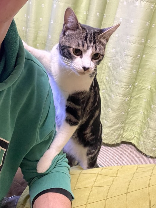 金田